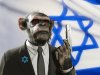 monkey_israel.jpg